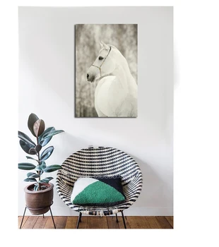 Frumos negru cal alb de perete tablou canvas art animale poze poze panza imaginile pentru camera de zi ieftine panza printuri