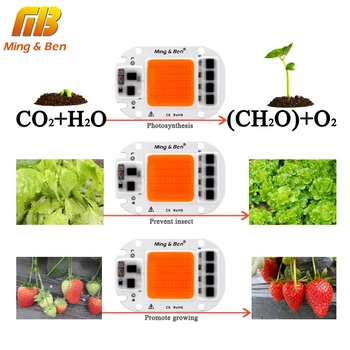 [MingBen] LED COB Chip Pentru a Creste Plante de Lumină întregul Spectru de Intrare de 220V AC 20W 30W 50W Pentru Plante de Interior Răsad Crește și Floare