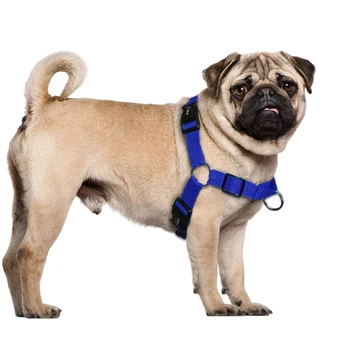 Nu Trageți de Nailon Câine de Mers pe jos de Cablaj Vesta se Potrivesc pentru Mediu Mare Câine Pitbull, Boxer S M L XL Negru Albastru Rosu