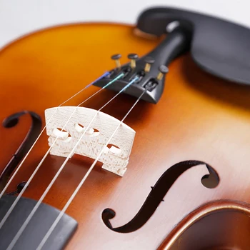 TONGLING Brand de Arțar Mat Vioara Violino Vioara 4/4 3/4 Incepator Instrument Muzical cu Cazul Arc Siruri de caractere Set Complet Accesorii