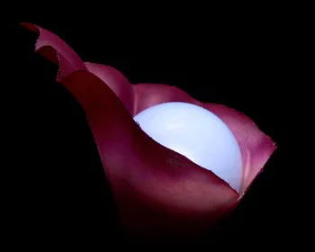 48Pcs/lot Colorate Lumini cu LED-uri Nunta Romantica Petrecere de Craciun Decoratiuni de Basm Perle Baloane cu Lumina perla de nunta lumini