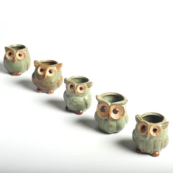 5 Buc/Set Creativ Ceramica Forma De Bufnita Mini Ghivece De Flori