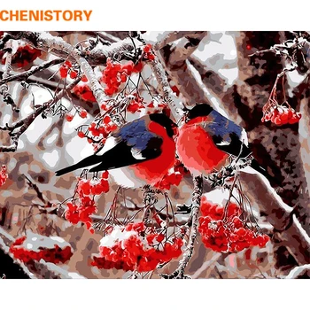 CHENISTORY Fara rama Iubitor de Păsări de BRICOLAJ, Pictura De Numere Kituri de Vopsea pe bază de Acril Imagine Cadou Unic Pentru Decor Nunta 40x50cm