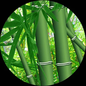 Personalizate Orice Dimensiune Murală Tapet 3D Stereo Proaspete Verde Pădure de Bambus Calea Foto picturi Murale Spațiale Extensia Papel De Parede 3 D
