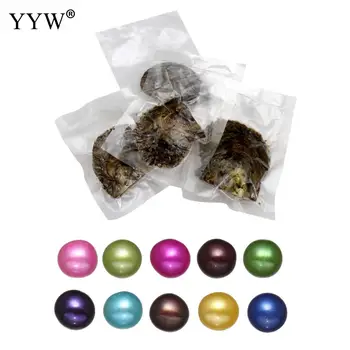 YYW 10buc/Lot 7-8mm Culori Amestecate Rotunde Colorate Akoya de Cultură Mare, Stridii Perla Margele Perle de Cultură Mare, Midii, Stridii cu Perle